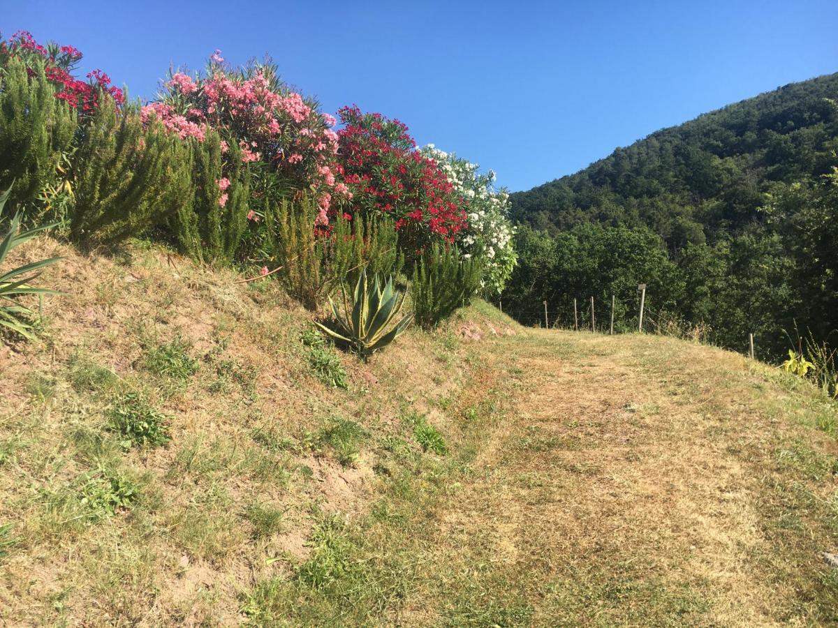 Cinque Terre, Tuscany, Liguria, Lerici #5 Exterior photo